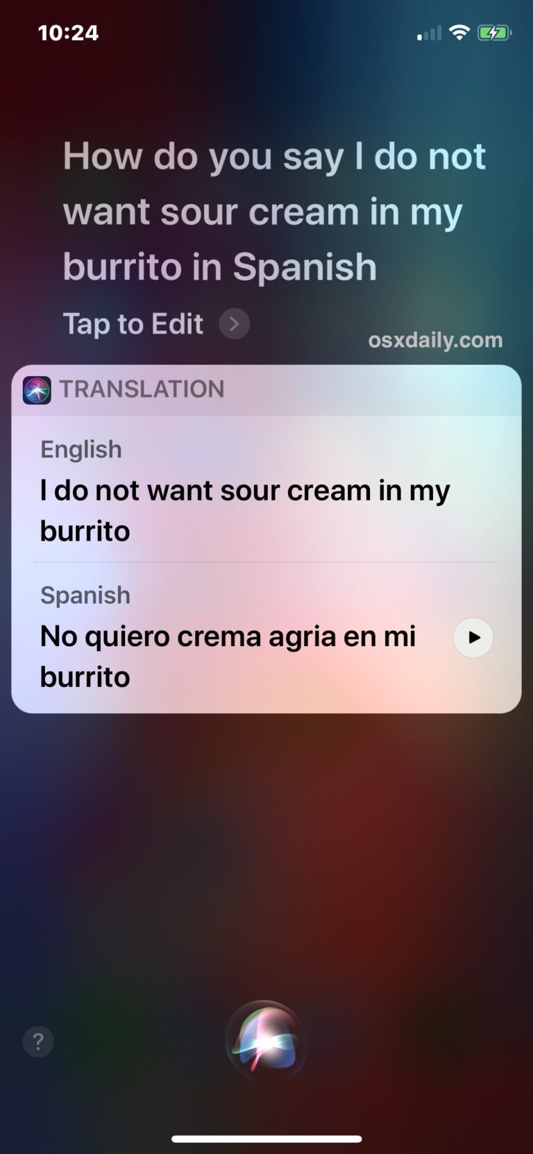 Как переводить языки с помощью Siri на iPhone и iPad