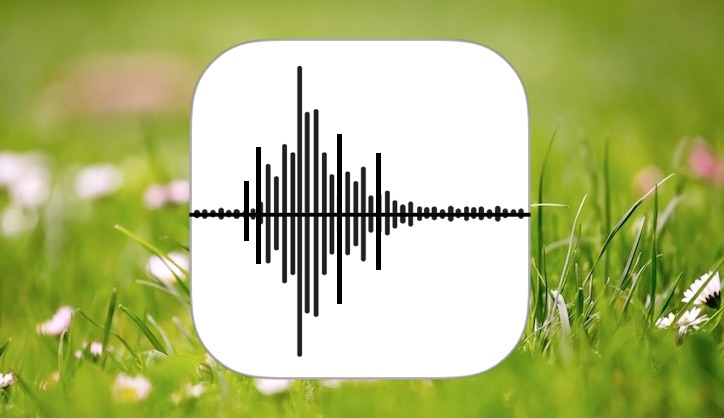 Как записывать голосовые заметки и аудио на iPhone
