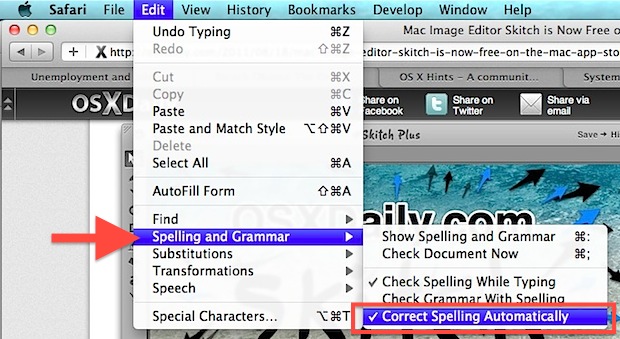 Отключить автокоррекцию орфографии Safari в Mac OS X
