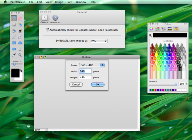 Хотите Microsoft Paint для Mac OS X?  Кисть эквивалентна!